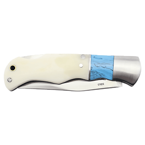 Bone handle stainless steel blade pocket knife