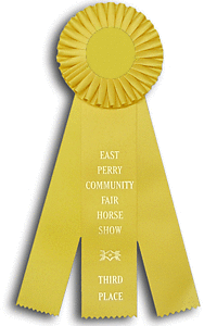 TR53HS3 Measures 5 X 14 inches Equestrian Rosette Ribbon 