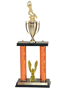 DPC SERIES Double Post with Cup Making the Catch Football Trophy