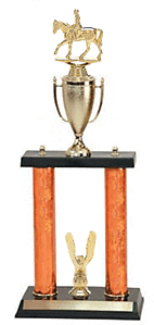 2PC-745Gdr Dressage Trophy with two posts