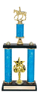 2PSRR-745Gdr Dressage Trophy with two posts
