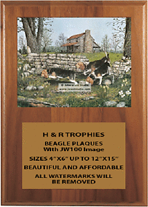 Beagle Field Trial Plaques With the Artwork of John Ward