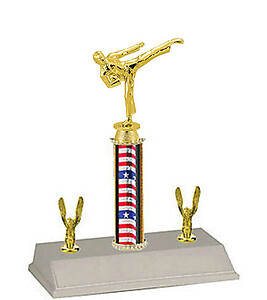 R3-9410 Men's Karate Trophy. Choose heights of 8