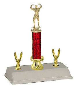Male Bodybuilder Trophies 10-18 inches tall, with riser and double trim