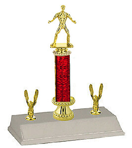 Wrestling Trophy, 10-18 inches tall with riser and double side trim.