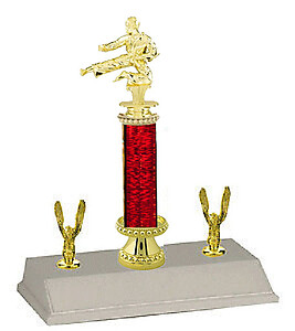 R3R-84165 Male Karate Trophies from 10 to 18 inches Tall