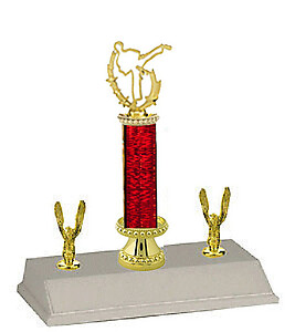 R3R-90875 Martial Arts Trophies from 10 to 18 inches Tall