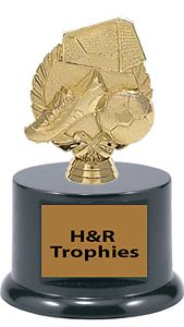 Gender Neutral Soccer Trophy