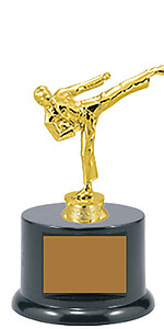Male Base and Topper Martial Arts Trophy