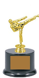 Female Base and Topper Martial Arts Trophy