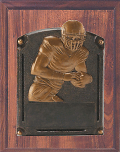 Mounted Legends of Fame Football Plaques 8