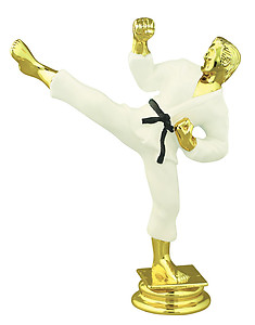 Color Male Martial Arts Trophy Figure RP80155CL