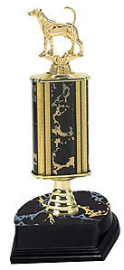 Fox and Coyote Field Trial Trophy
