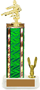 S2-84165 Karate Trophy Choose heights of 8