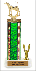 Foxhound Field Trial Awards