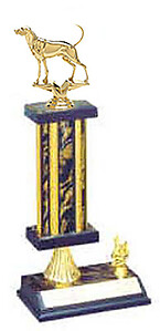 S2R Coonhound Bench Show Trophies