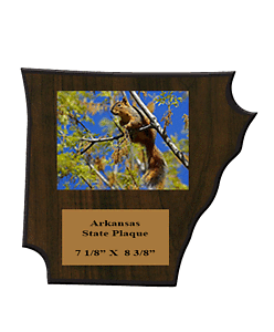 Plaque in shape of the state of Arkansas
