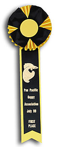 Fair Single Streamer Rosette Ribbons