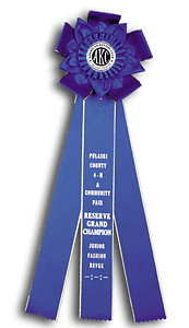 TR108 7 X 19 inches Pointer and Retriever Field Trial Rosette Ribbon 