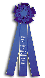 TR108FT 7. X 19 inches Field Trial Rosette Ribbon 