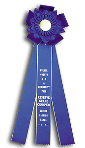 TR108  7 X 19 inches Pointer and Retriever Field Trial Rosette Ribbon 