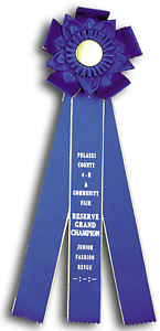 TR108FT 7. X 19 inches Field Trial Rosette Ribbon 