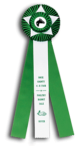 TR131HS3 Measures 6 X 19 inches Equestrian Rosette Ribbon 