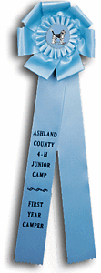 TR134BT 6 X 18 inches Beagle Field Trial Rosette Ribbon 