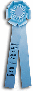 TR134FT2 Measures 6 X 18 inches Dog Show or Field Trial Rosette Ribbon 