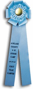 TR134BT 6 X 18 inches Beagle Field Trial Rosette Ribbon 
