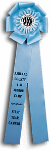 TR134GDRT 6 X 18 inches Pointer or Retriever Field Trial Rosette Ribbon 