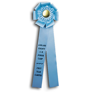 TR134GDRT 6 X 18 inches Pointer or Retriever Field Trial Rosette Ribbon 