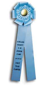 TR134HS2 Measures 6 X 18 inches Equestrian Rosette Ribbon 