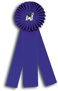 TR49FT a 4 X 10 inches Field Trial Rosette Ribbon 