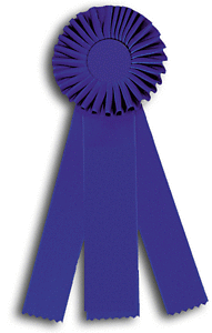 TR49HS3 Measures 4 X 10 inches Equestrian Rosette Ribbon 