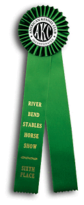 TR57  4 X 15 inches Pointer or Retriever Field Trial Rosette Ribbon 