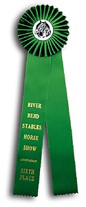TR57HS2 Measures 4 X 15 inches Equestrian Rosette Ribbon 