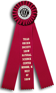 TR67FT a 3X 11 inches Dog Show or Field Trial Rosette Ribbon 