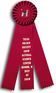 TR67FT a 3X 11 inches Dog Show or Field Trial Rosette Ribbon 