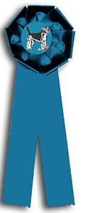 TR81FT2 Measures 4 X 12 inches Dog Show or Field Trial Rosette Ribbon 