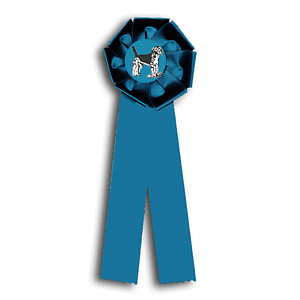 TR81 4 X 12 inches Beagle Field Trial Rosette Ribbon 