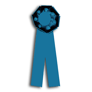 TR81FT2 Measures 4 X 12 inches Dog Show or Field Trial Rosette Ribbon 
