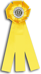 TR83FT a 6 X 16 inches Dog Show and Field Trial Rosette Ribbon 
