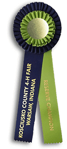 TR93  4 X 12 inches Pointer or Retriever Field Trial Rosette Ribbon 