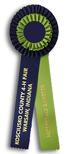 TR93  4 X 12 inches Pointer or Retriever Field Trial Rosette Ribbon 