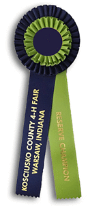 TR93FT2 Measures 4 X 12 inches Dog Show or Field Trial Rosette Ribbon 