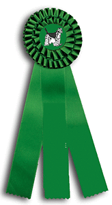 TR94FT a 4X 12 inches Field Trial and Dog Show Rosette Ribbon 