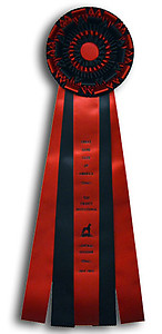 10 x 36 Jumbo Rosette Ribbon