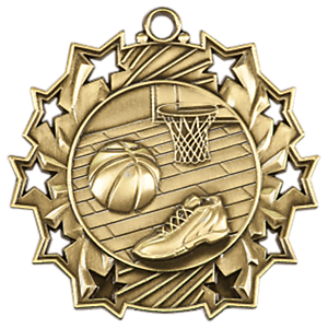 TS402 Medal 