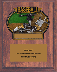 Check Out Our Volume Discounts on this Baseball Plaque